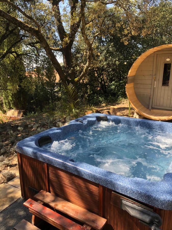 HOTEL DOMAINE LA TOUR 4 SAISONS - PISCINE CHAUFFEE TOUTE L'ANNEE - SPA-  JACUZZI-MASSAGE- SAUNA - HEATED POOL - 800M CITY CENTRE NYONS (France) -  from US$ 159 | BOOKED